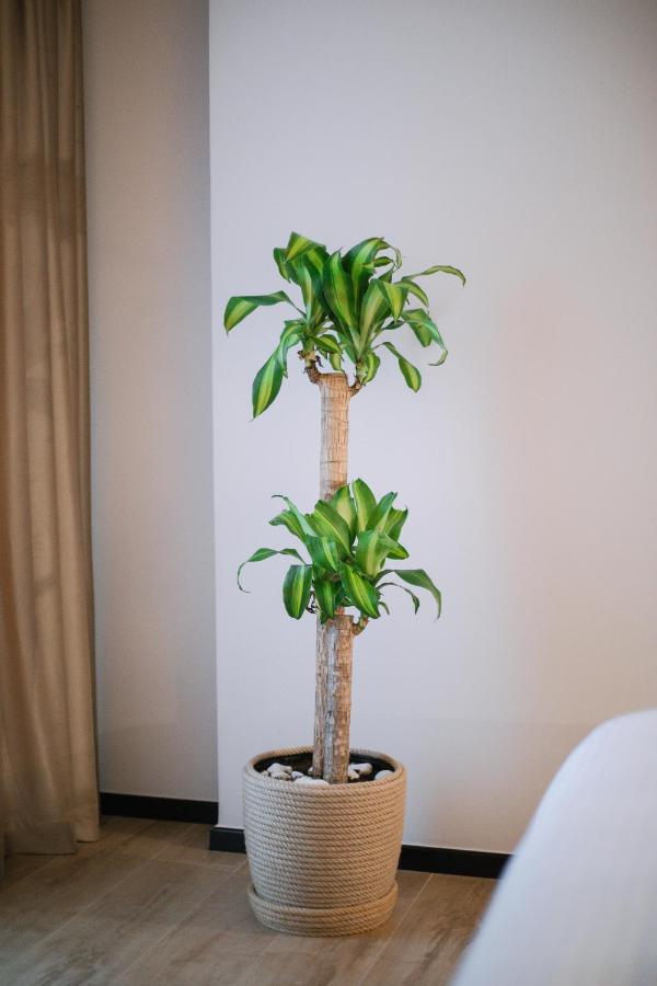 Boulevard Boutique Aparthotel コルチャ エクステリア 写真